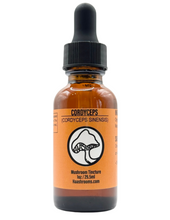 Load image into Gallery viewer, Cordyceps Dual Extract Glycerin Tincture