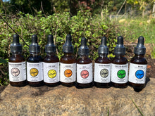 Load image into Gallery viewer, Value Set of 8 Triple Extract Alcohol Mushroom Tinctures