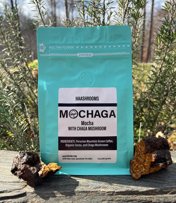 Mochaga Mushroom Coffee
