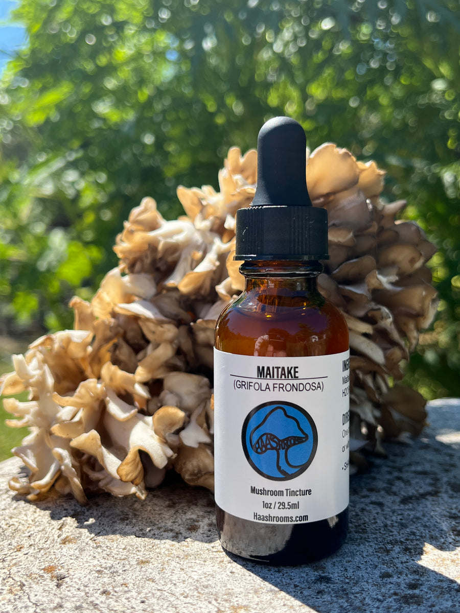 Maitake Mushroom Tincture HaaShrooms