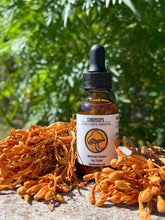 Load image into Gallery viewer, Cordyceps Triple Extract Alcohol Tincture