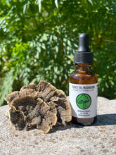 Load image into Gallery viewer, Turkey Tail Triple Extract Alcohol Tincture