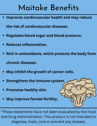 Maitake Dual Extract Glycerin Tincture