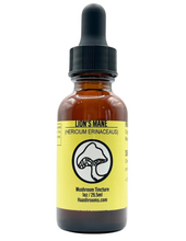 Load image into Gallery viewer, Lions Mane Dual Extract Glycerin Tincture