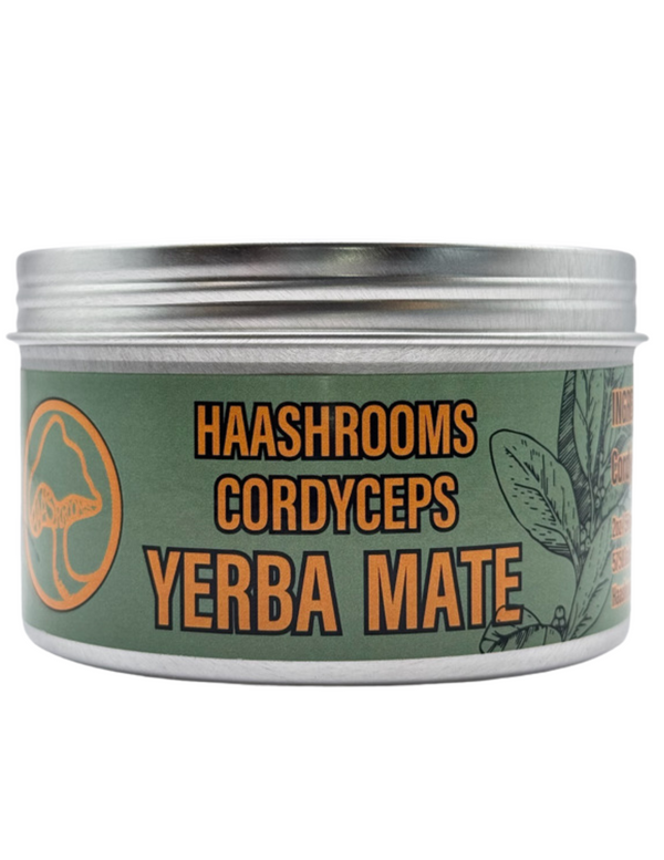 Cordyceps Mushroom Yerba Mate