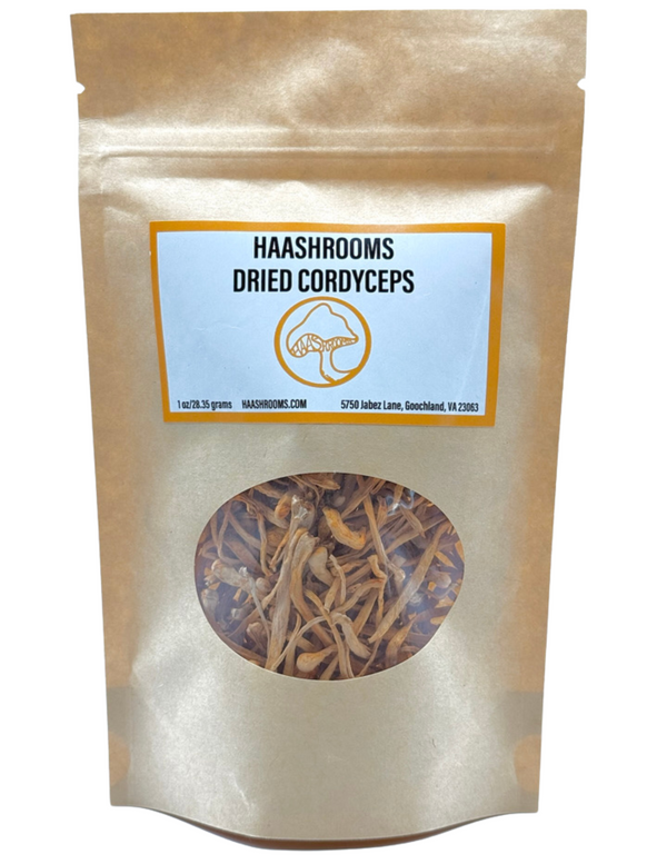 Dried Cordyceps Mushrooms