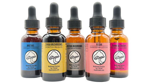 Value Set of 9 Dual Extract Glycerin Mushroom Tinctures