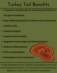 Turkey Tail Triple Extract Alcohol Tincture