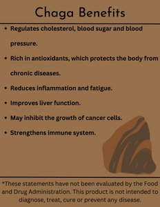 Chaga Triple Extract Tincture