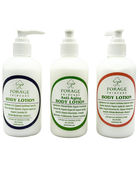 Body Lotion Value Set of 3