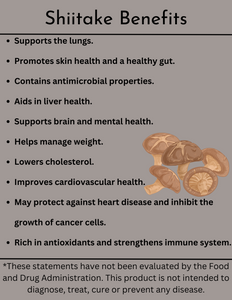 Shiitake Triple Extract Tincture