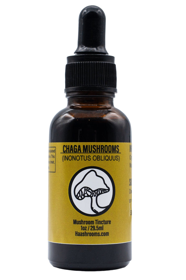 A dropper bottle labeled Chaga Mushroom (Inonotus Obliquus) tincture.