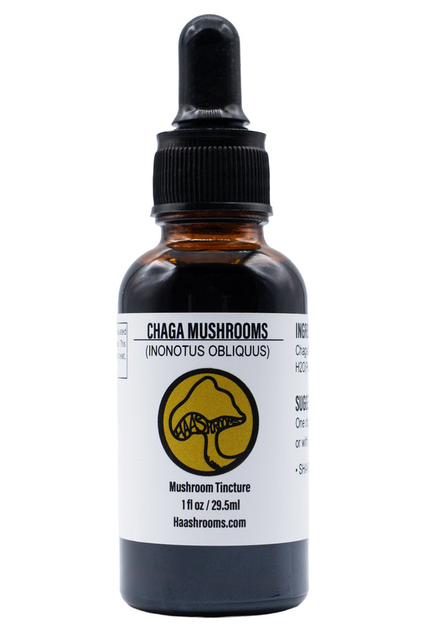 A dropper bottle labeled 'Chaga Mushrooms (Inonotus Obliquus) Mushroom Tincture' indicating a health supplement made from chaga mushroom.