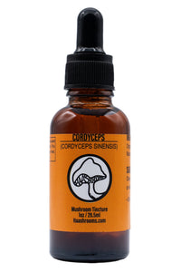 1 ounce bottle of Cordyceps (Cordyceps Sinensis) with an orange label on a white background
