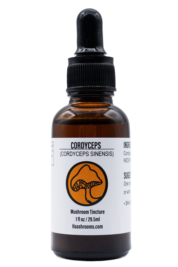 A dropper bottle labeled Cordyceps (Cordyceps Sinensis) Mushroom Tincture, with a volume of 1 fl oz.