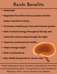 Reishi Dual Extract Glycerin Tincture