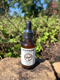 King Oyster Triple Extract Alcohol Tincture