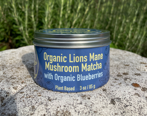 Lions Mane Mushroom Blueberry Matcha