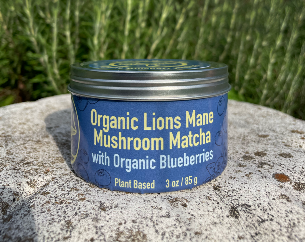 Lions Mane Mushroom Blueberry Matcha