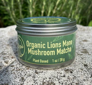 Lion's Mane Mushroom Matcha
