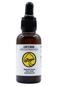 Bottle of Lion's Mane mushroom tincture on a white background