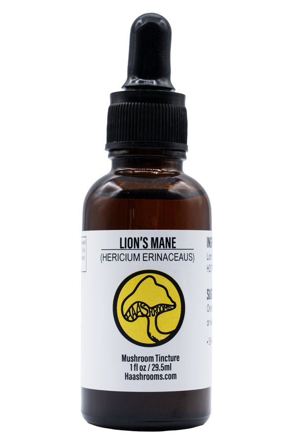 Bottle of Lion's Mane mushroom tincture with a yellow label on a white background