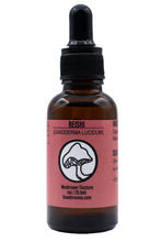 Load image into Gallery viewer, Bottle with dropper labeled 'Reishi' on a white background