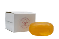 Bar of Tremella Mushroom soap next to a white box with a logo on a white background
