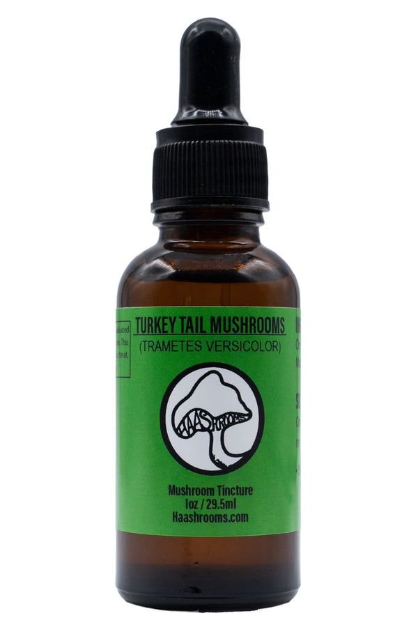 Bottle of turkeytail mushroom tincture with green label and black dropper on white background