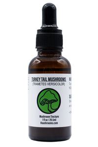 Bottle of Turkey Tail Mushrooms tincture on a white background