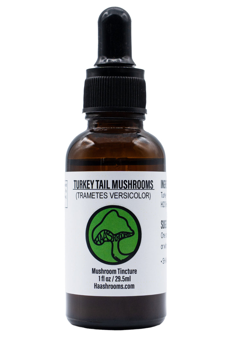 Bottle of Turkey Tail Mushrooms tincture on a white background
