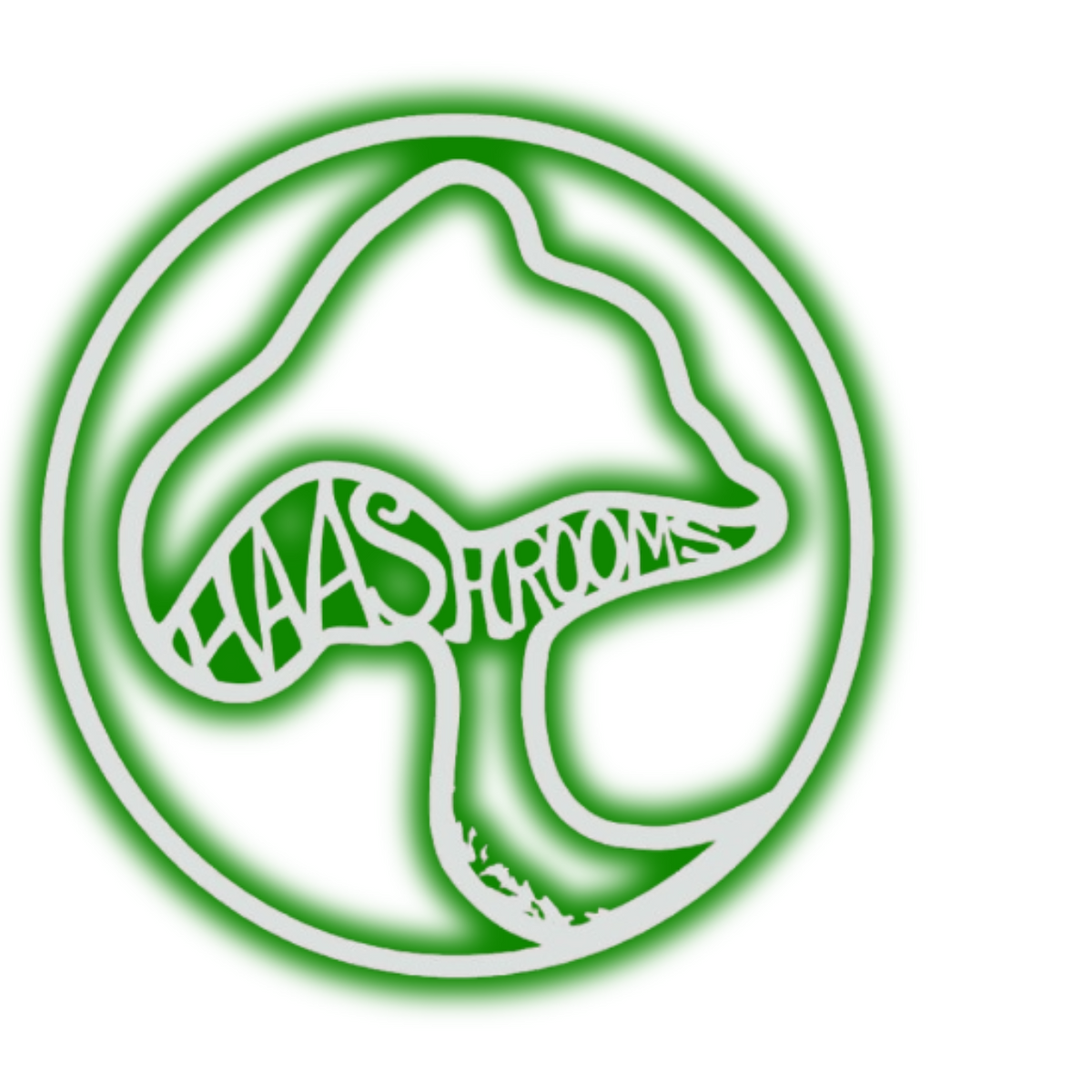 Logo of Haashrooms with a green outline on a white background