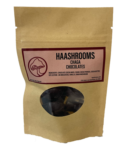 Chaga Mushroom Dark Chocolates