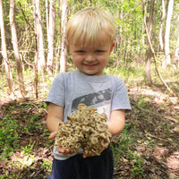 Group Wild Mushroom and Edible/Medicinal Plant Foraging