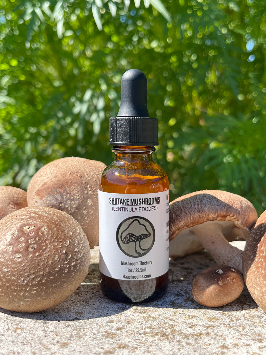 Shiitake Mushroom Tincture HaaShrooms