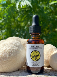 Lions Mane Triple Extract Alcohol Tincture