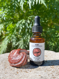 Reishi Triple Extract Alcohol Tincture