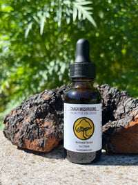 Chaga Triple Extract Alcohol Tincture