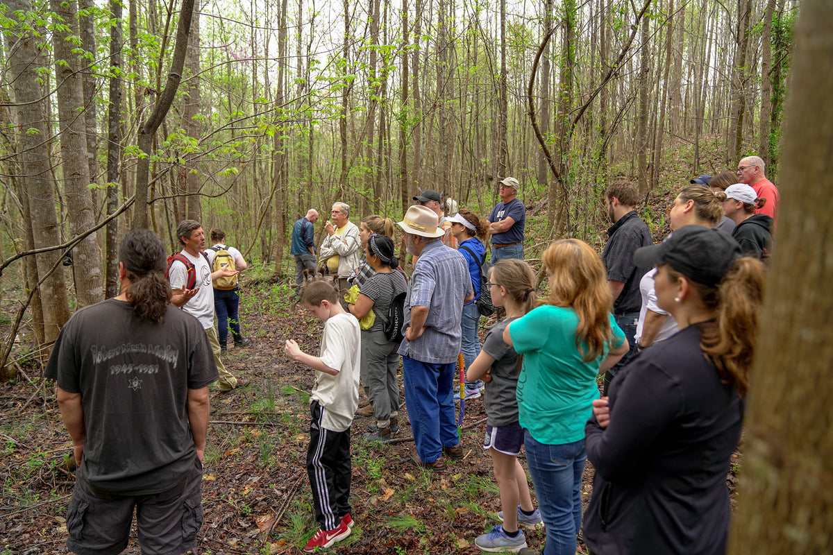 Group Wild Mushroom and Edible/Medicinal Plant Foraging
