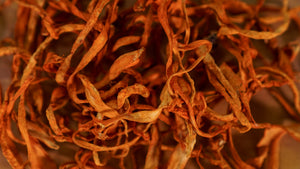 Dried Cordyceps Mushrooms