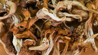 Dried Mushroom Mix