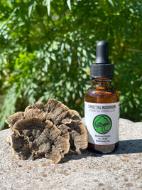 Turkey Tail Triple Extract Alcohol Tincture