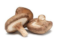 Shiitake Mushroom Night Face Cream for Delicate Skin